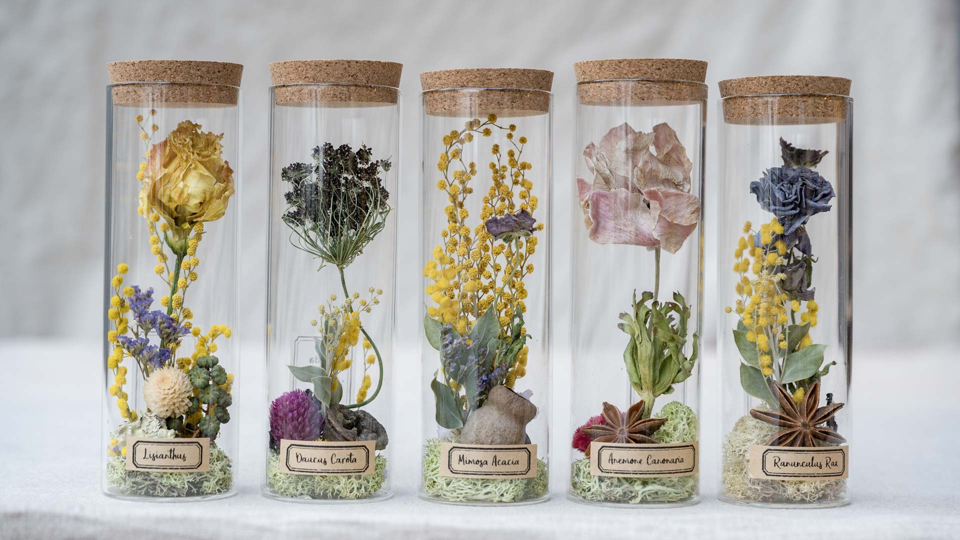 ドライフラワー「植物標本」