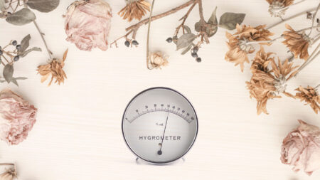 Dry flowers require humidity control: Tips for storing during Tokyo's rainy season.