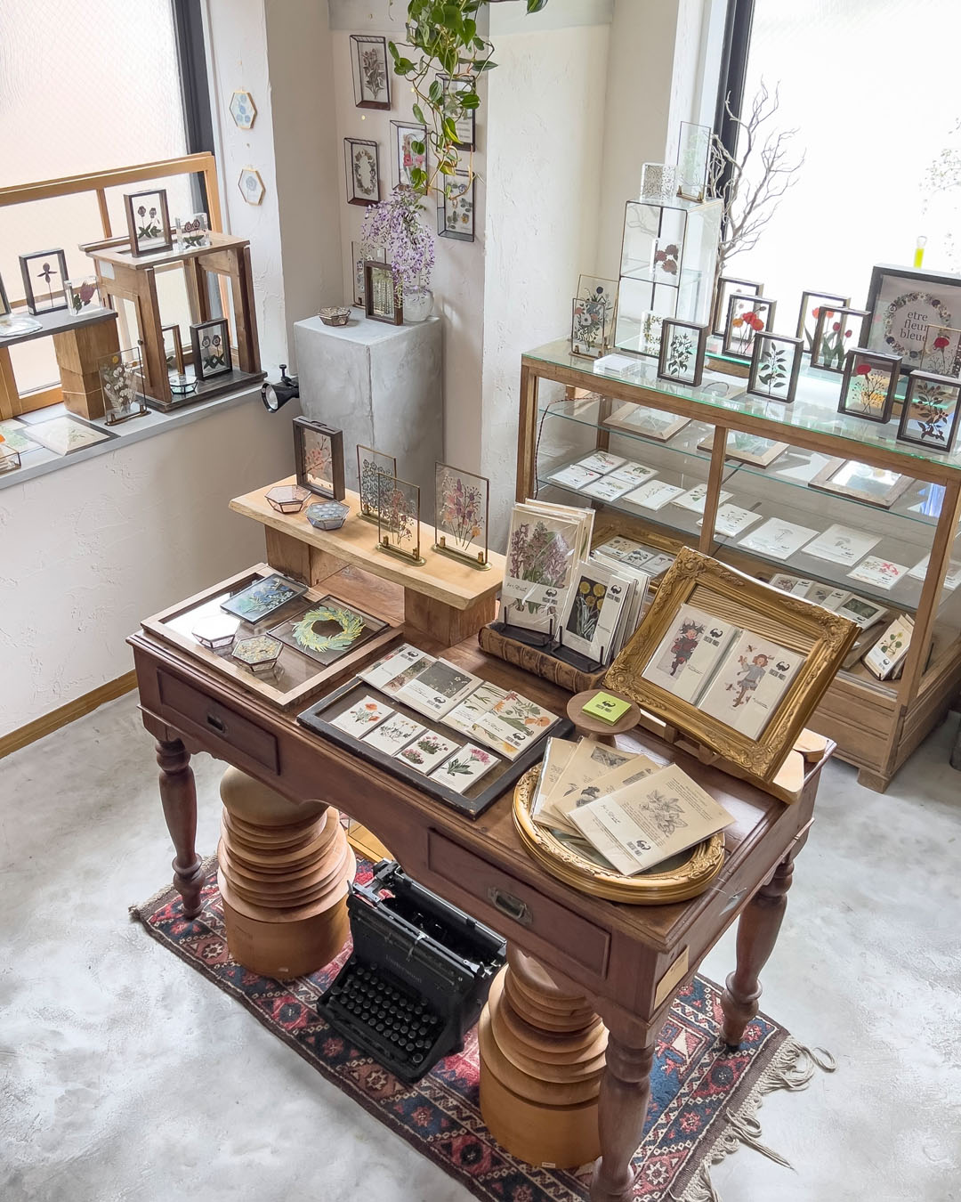 春のボタニカル asanochiaki + Ancient Month 4/8-4/25, 2023
