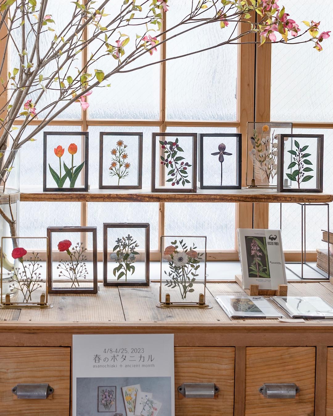 春のボタニカル asanochiaki + Ancient Month 4/8-4/25, 2023