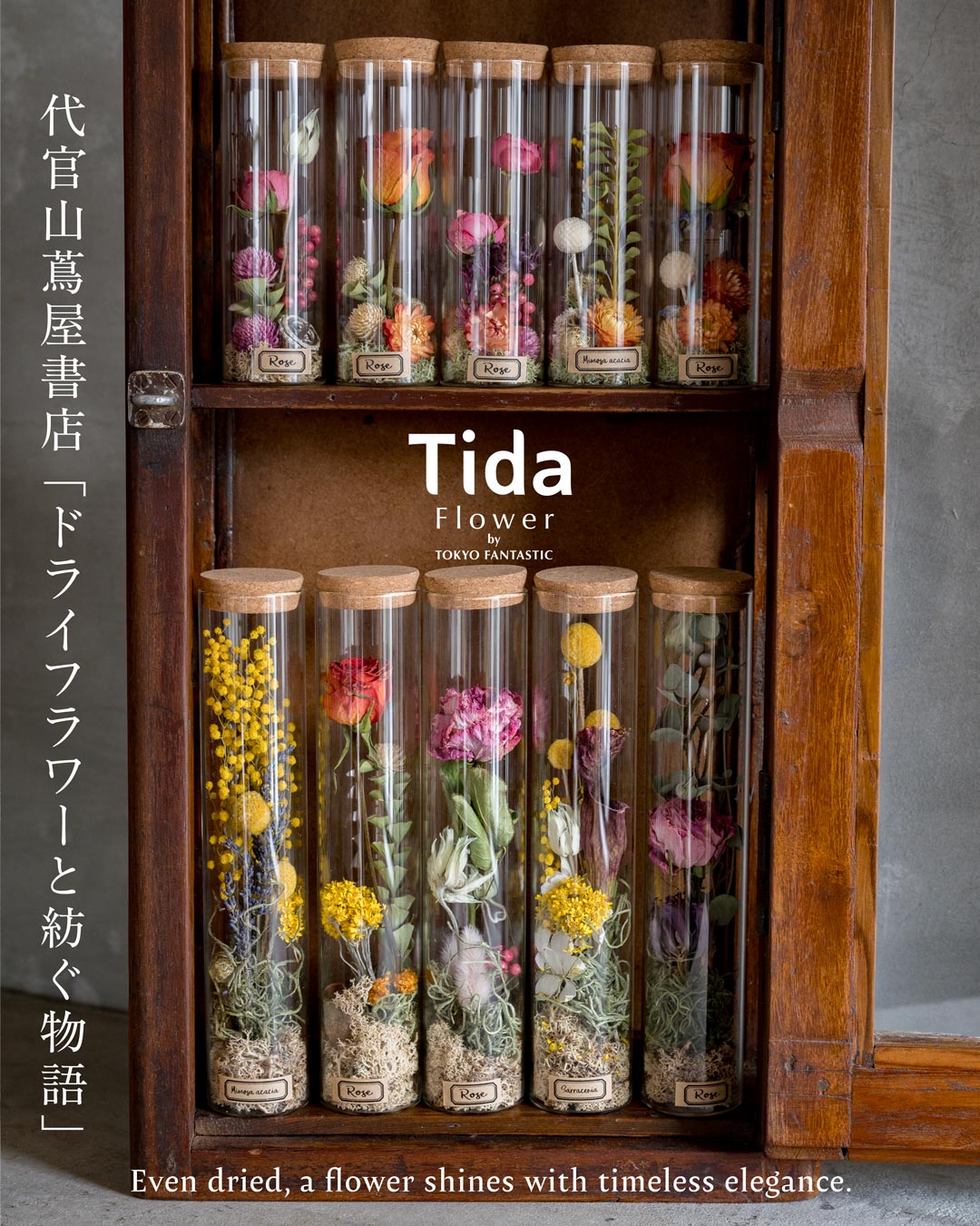 代官山蔦屋書店ポップアップ Tida Flower by TOKYO FANTASTIC「ドライフラワーと紡ぐ物語」