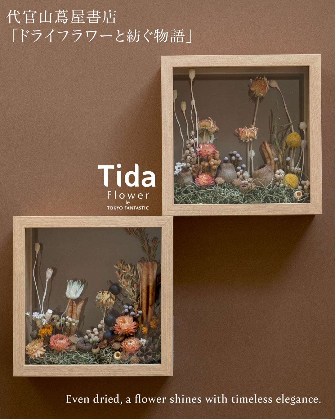 代官山蔦屋書店ポップアップ Tida Flower by TOKYO FANTASTIC「ドライフラワーと紡ぐ物語」