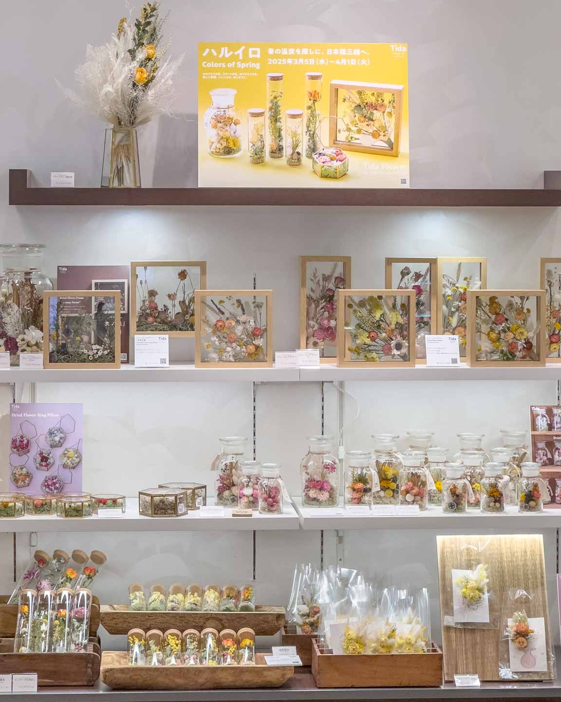 日本橋三越本店5階「ハルイロ Colors of Spring」Tida Flower by TOKYO FANTASTIC 3/5-4/1, 2025
