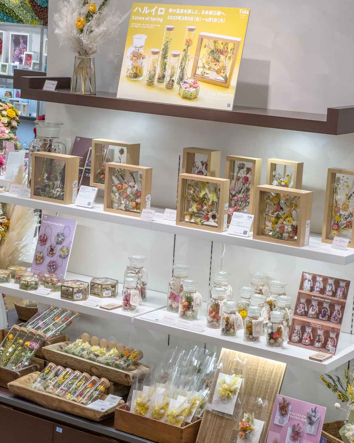 日本橋三越本店5階「ハルイロ Colors of Spring」Tida Flower by TOKYO FANTASTIC 3/5-4/1, 2025