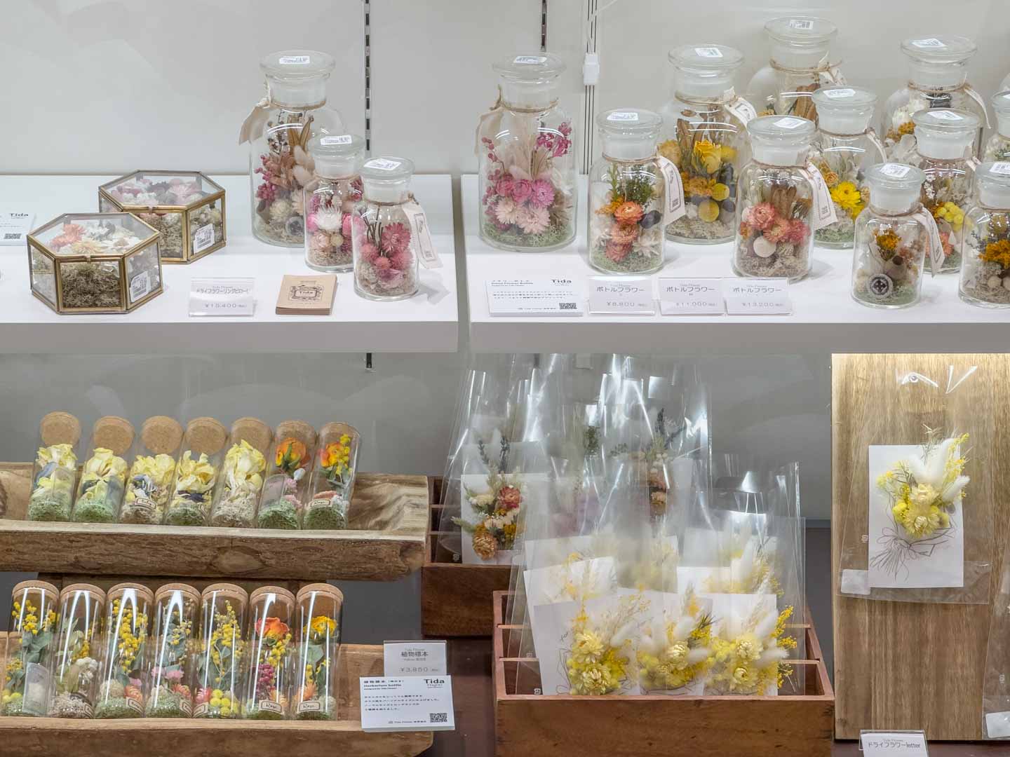 日本橋三越本店5階「ハルイロ Colors of Spring」Tida Flower by TOKYO FANTASTIC 3/5-4/1, 2025