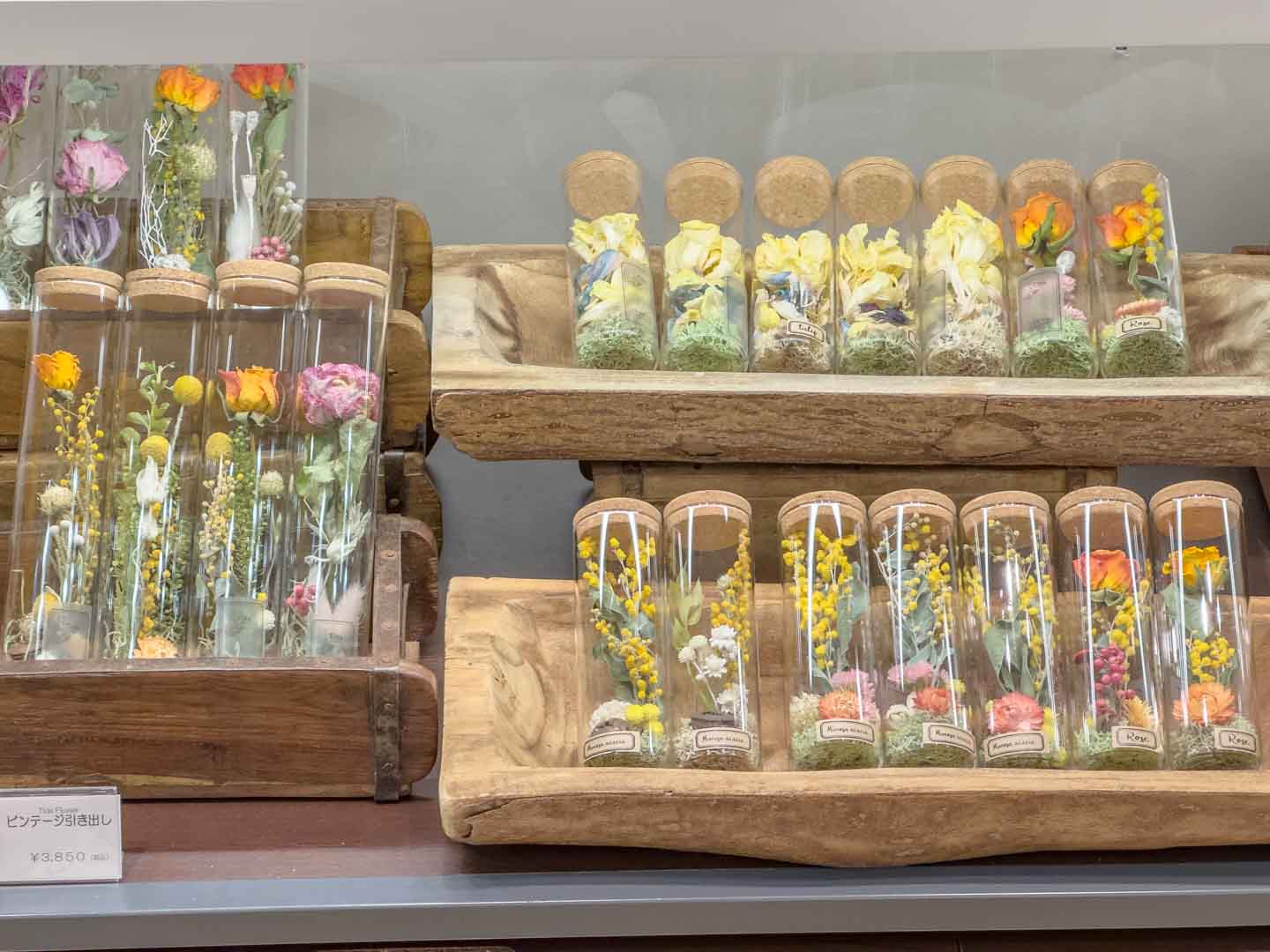 日本橋三越本店5階「ハルイロ Colors of Spring」Tida Flower by TOKYO FANTASTIC 3/5-4/1, 2025